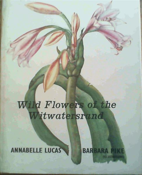 Image for Wild Flowers of the Witwatersrand