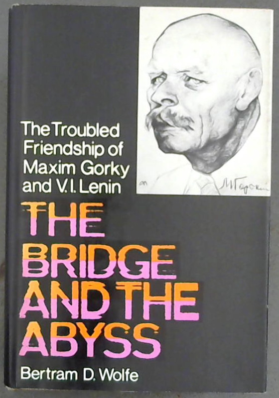Image for The Bridge and the Abyss