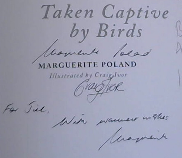 Image for Taken Captive by Birds