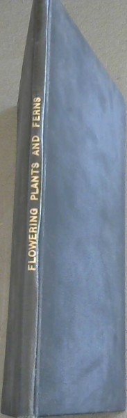 Image for Flowering Plants and Ferns of the Transvaal and Swaziland