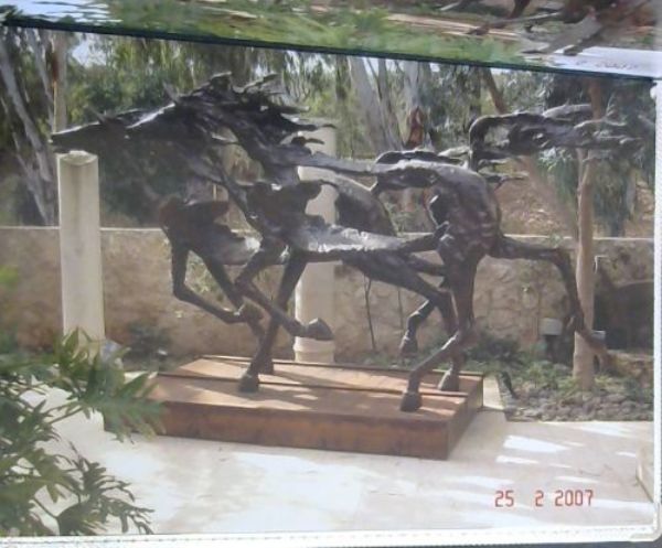 Image for Razia Gershon : Album of photographs