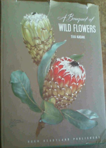 Image for A Bouquet of Wild Flowers