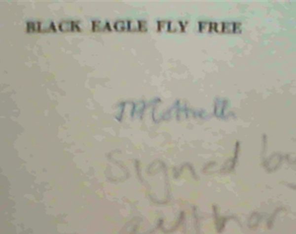Image for Black eagle fly free