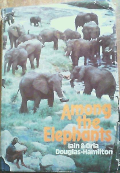 Image for Among the Elephants
