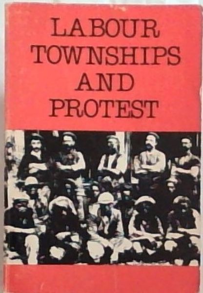 Image for Labour, Townships and Protest: Studies in the social history of the Witwatersrand