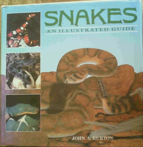 Image for Snakes; An Illustrated Guide