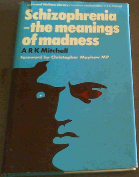 Schizophrenia: The meanings of madness (The Care and welfare library)