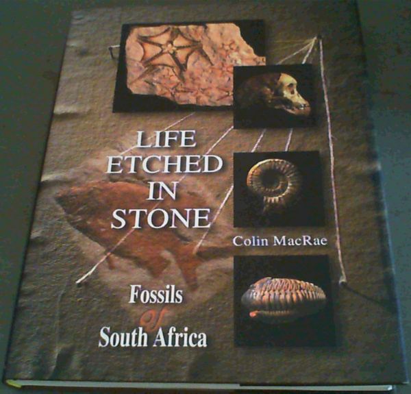 Life Etched in Stone Fossils of South Africa