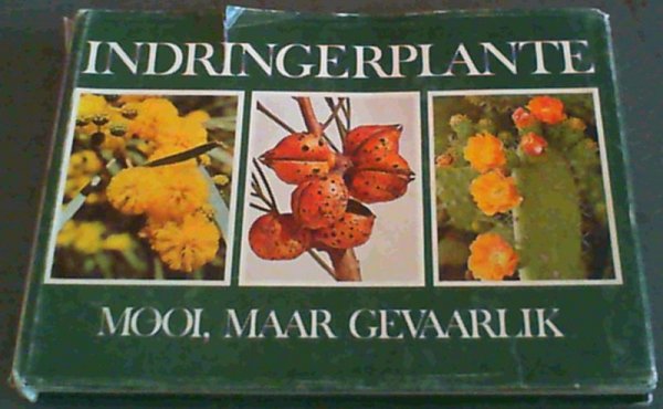 Indringerplante Mooi Maar Gevaarlik n Vir Die Uitkenning En Die 