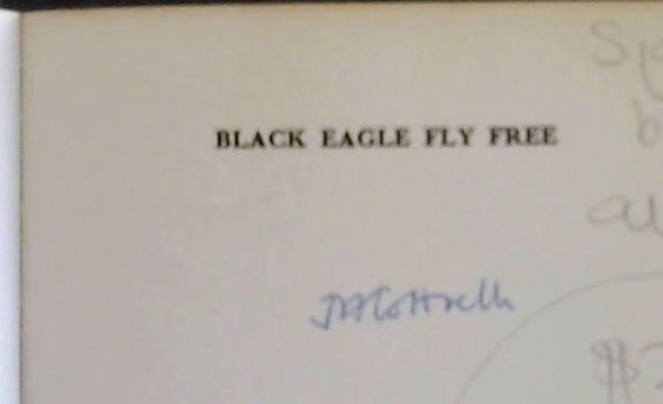Image for Black eagle fly free