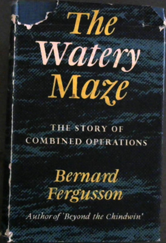Image for The Watery Maze
