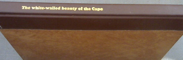 Image for The white-walled beauty of the Cape : A selection of photographs exhibited by the Simon van der Stel Foundation in Cape Town and Preetoria, October 1963