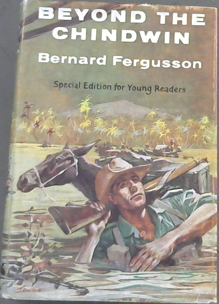 Image for Beyond the Chindwin
