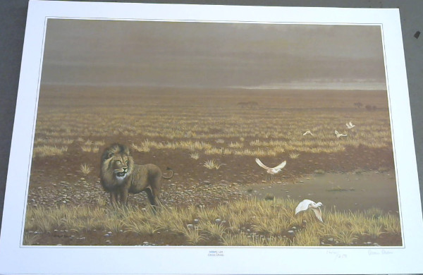 Image for Wild Life Prints : Owen Owen : "Big Brother", "Solitary Lion" - Limited