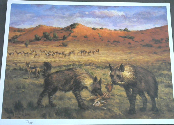 Image for Wild Life Prints : Zakkie Eloff - Limited