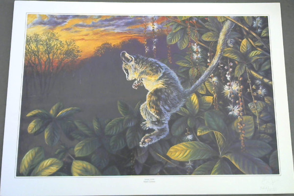 Wild Life Prints : Mark Coetzee : "Sunset Sortie", "Hightailing It"- Limited - Picture 2 of 3