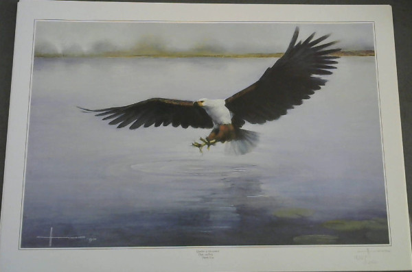 Image for Wild Life Prints : Henk Vos : "Quartet of Movement - First Sighting", "Quartet of Movement - Then Reaching ...", "Quartet of Movement - Grasping ...", "Quartet of Movement - Finally Feeding ..." - Limited