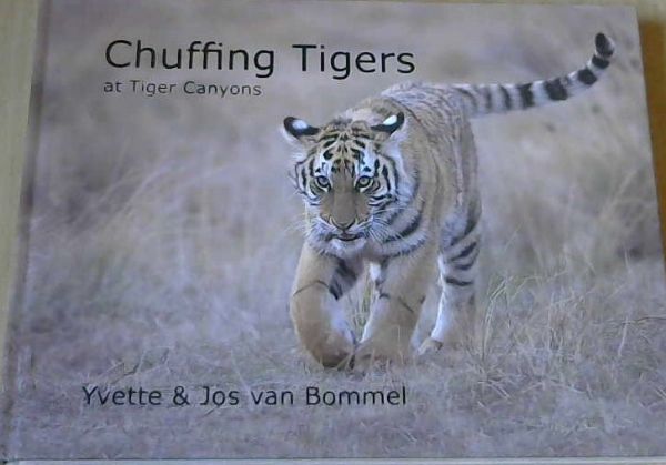 van Bommel, Yvette & Jos .. Chuffing Tigers at Tiger Canyons - Picture 2 of 3