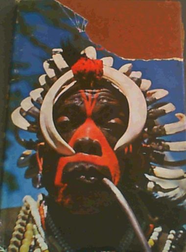 Fanshawe, David .. African Sanctus: A Story of Music and Travel